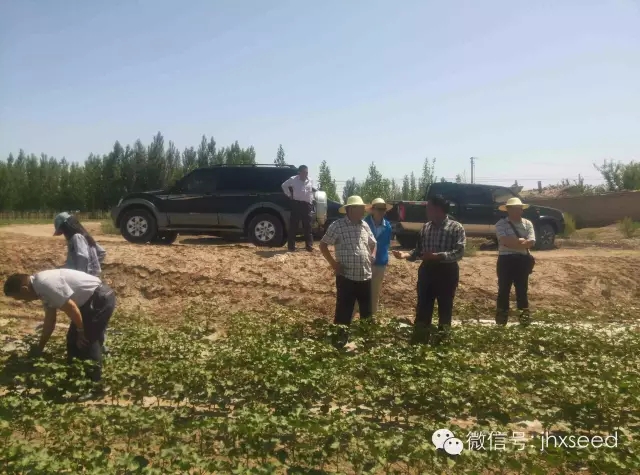 威客电竞·(中国)VKGAME