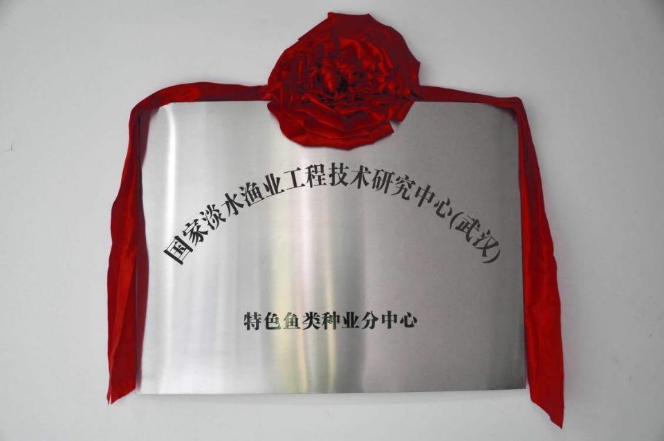 威客电竞·(中国)VKGAME